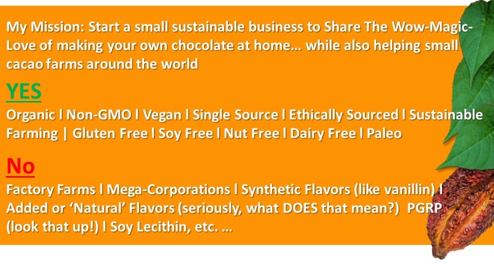 Our make your own chocolate making mission